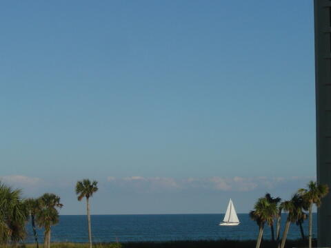 2400 South Ocean Drive, Unit 1034 Fort Pierce, FL 34949 - Photo 1 of 51 a view of a room with a potted plant and wooden floor
