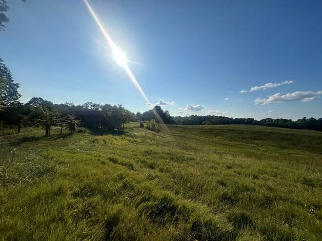 560 C C Riddle Road Burkesville, KY 42717 - Photo 23 of 32 20241217185156238830000000-o