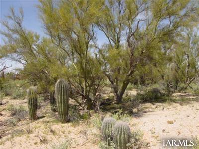 0 West Oasis Road Tucson, AZ 85742 - Photo 7 of 9