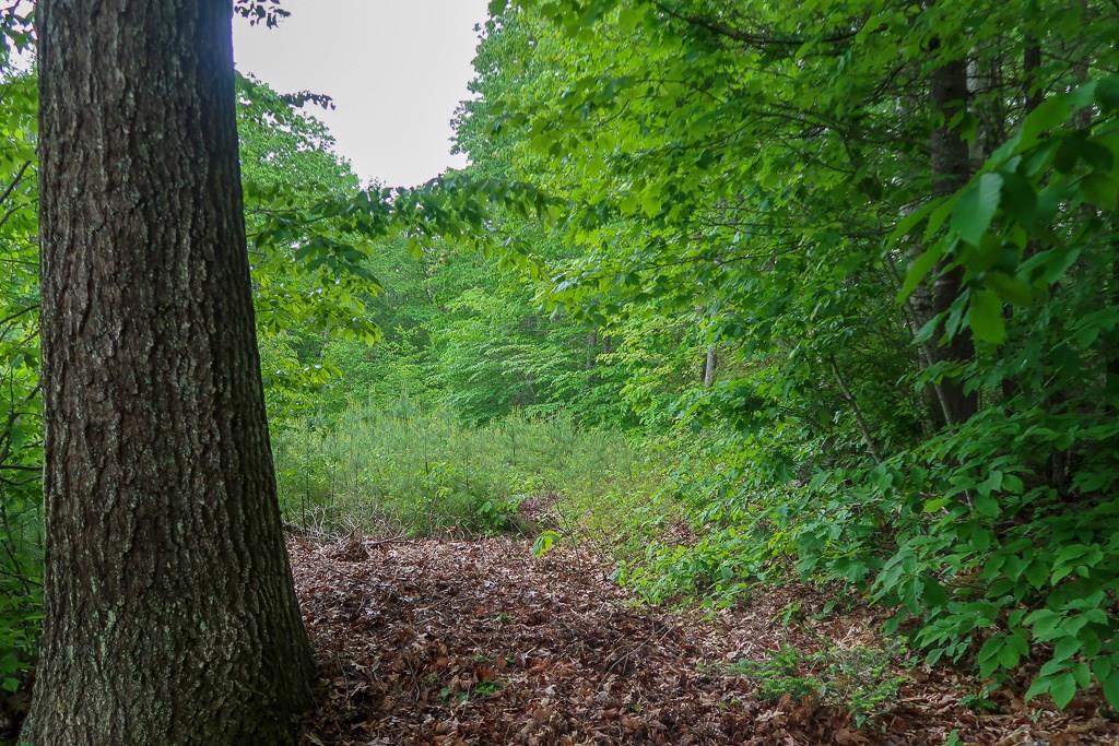 742 Togus Road Chelsea, ME 04330 - Photo 29 of 35 This 6 acre lot includes 248' of...
