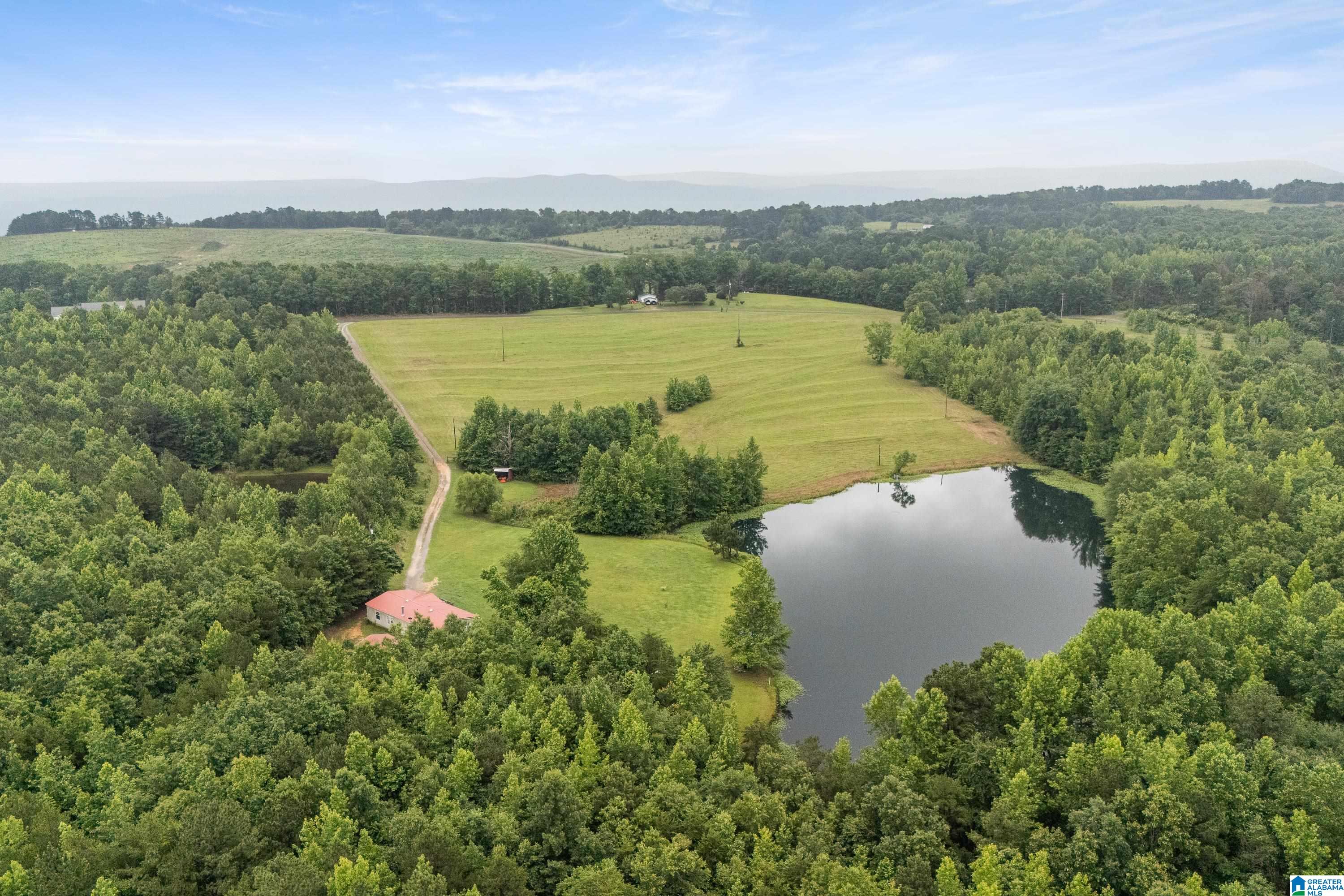 1484 Jones Chapel Loop, Unit 1484 Springville, AL 35146 - Photo 24 of 27