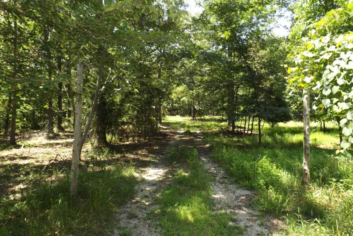 900 Stump Hollow Road Spring City, TN 37381 - Photo 1 of 1 Gallery Image 1