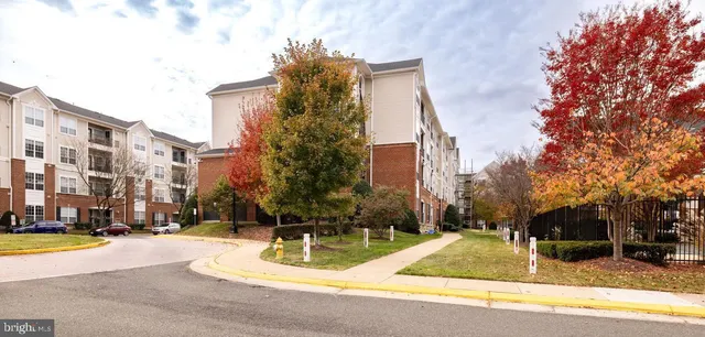 a sign that is in front of flowers