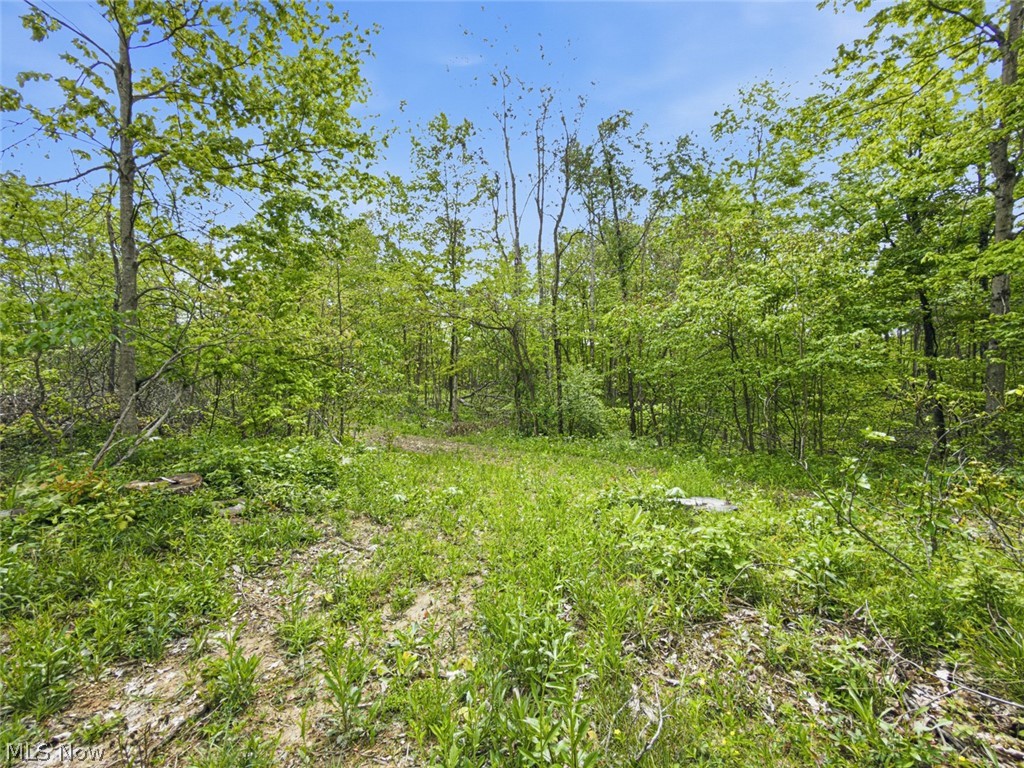 69-acres Newlon Road Malta, OH 43758 - Photo 16 of 20