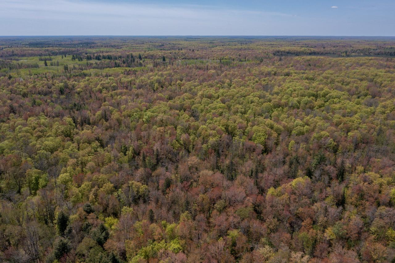 8752 North Kichak Road Hurley, WI 54534 - Photo 15 of 17 Gallery Image 15