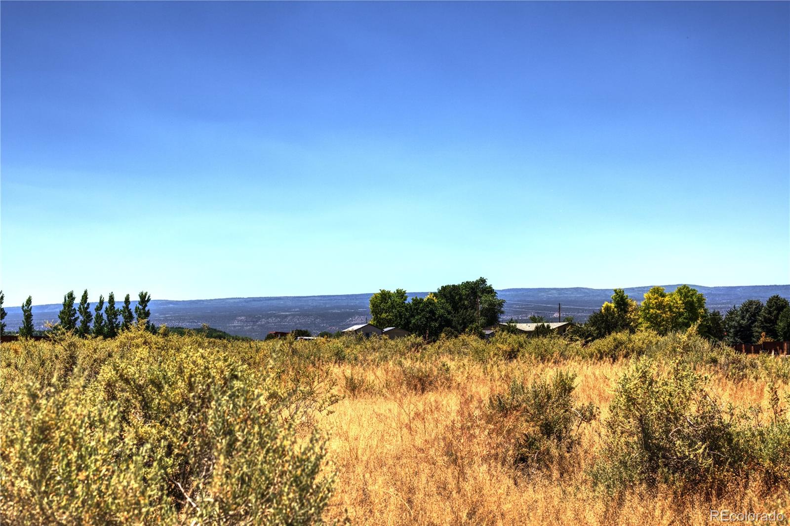 58905 Idaho Road Montrose, CO 81403 - Photo 11 of 20 Gallery Image 11