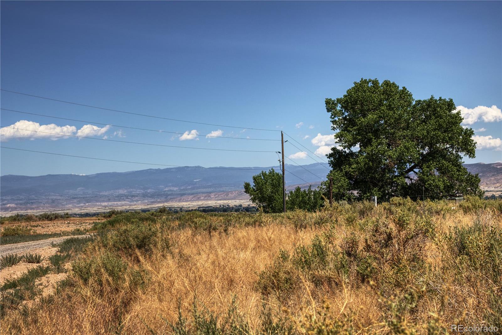 58905 Idaho Road Montrose, CO 81403 - Photo 16 of 20 Gallery Image 16