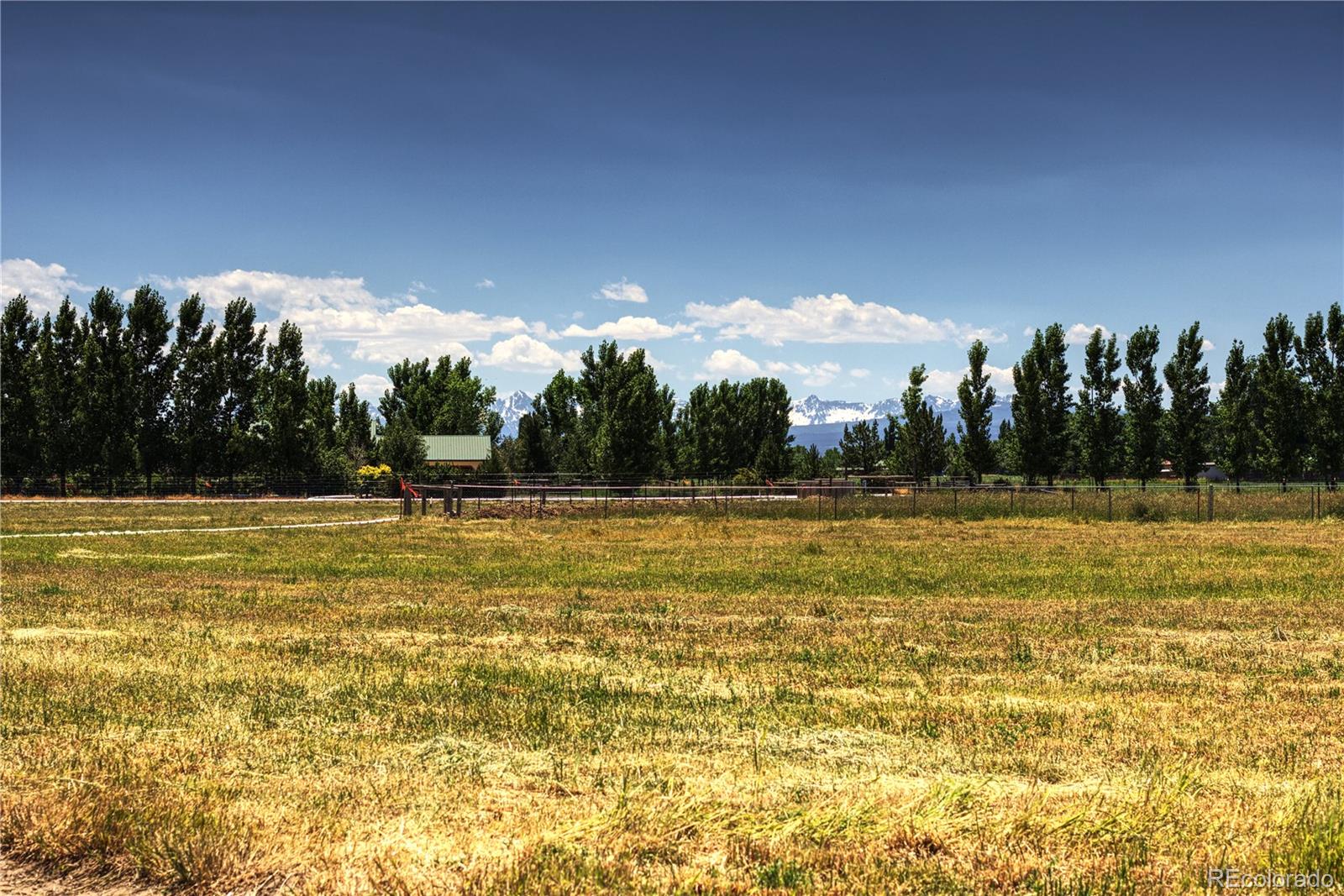 58905 Idaho Road Montrose, CO 81403 - Photo 8 of 20 Gallery Image 8