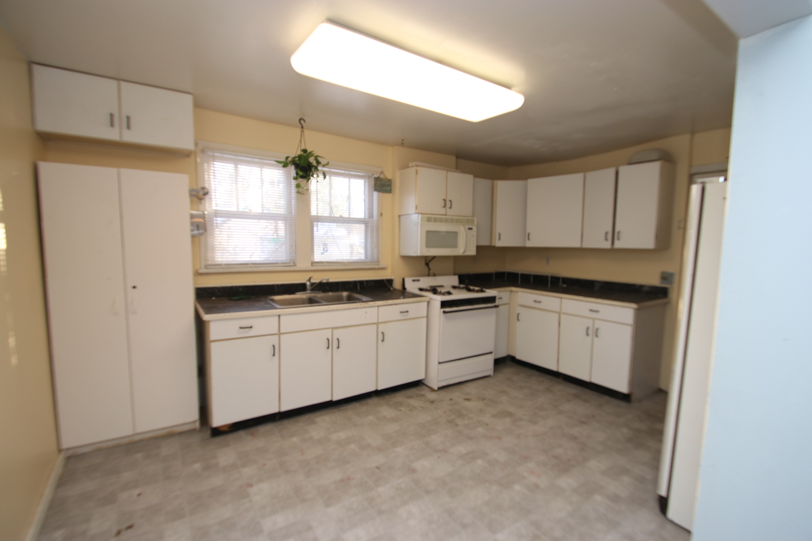50 Rushmore Road Fox Lake, IL 60020 - Photo 4 of 14