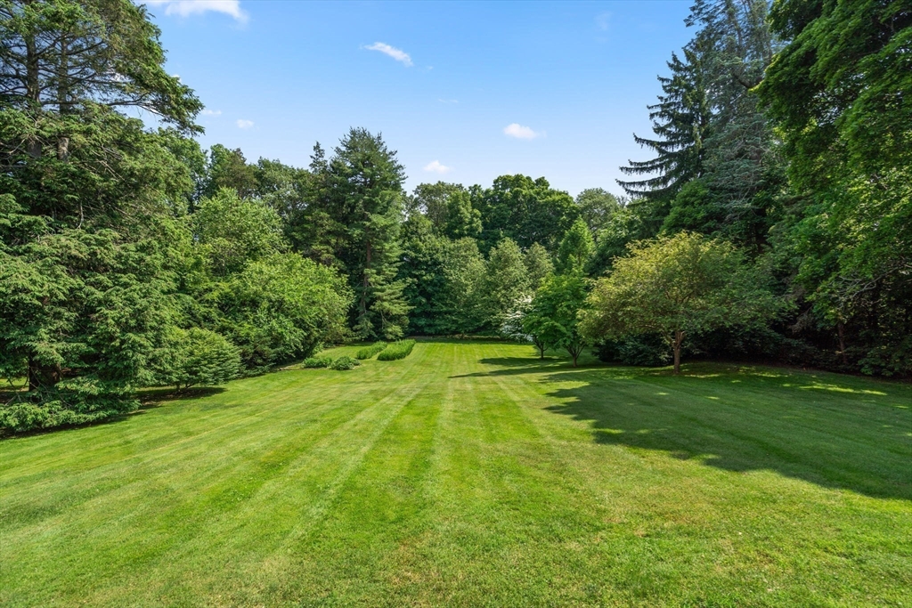 a view of a big yard with large trees