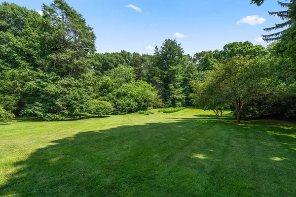 a view of a grassy field