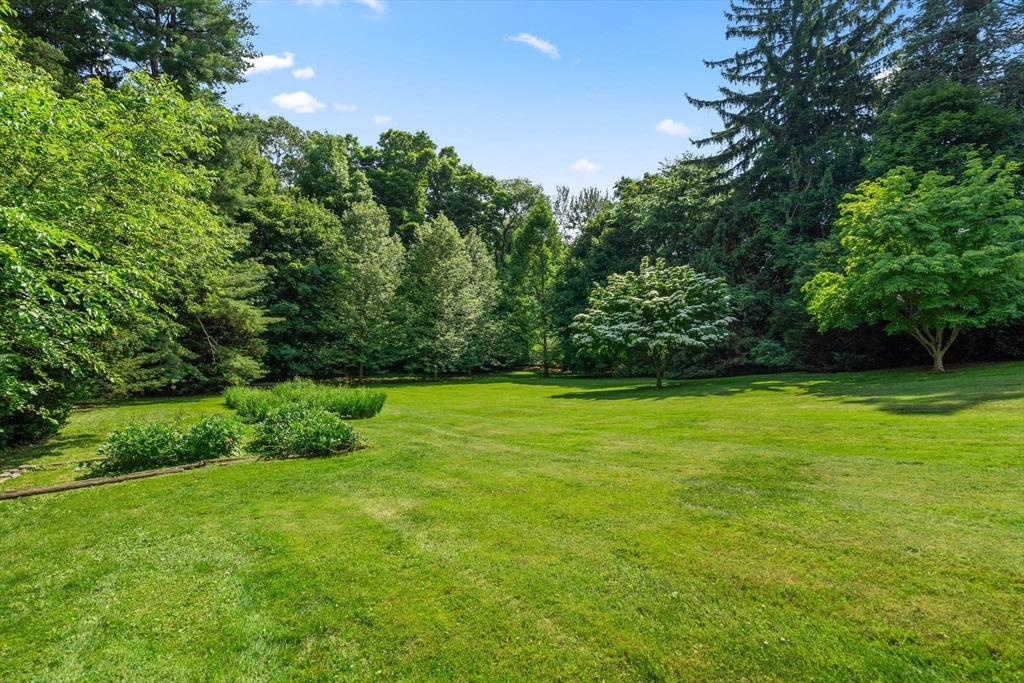 60 Chapin Road Newton, MA 02459 - Photo 6 of 9 a view of yard with green space