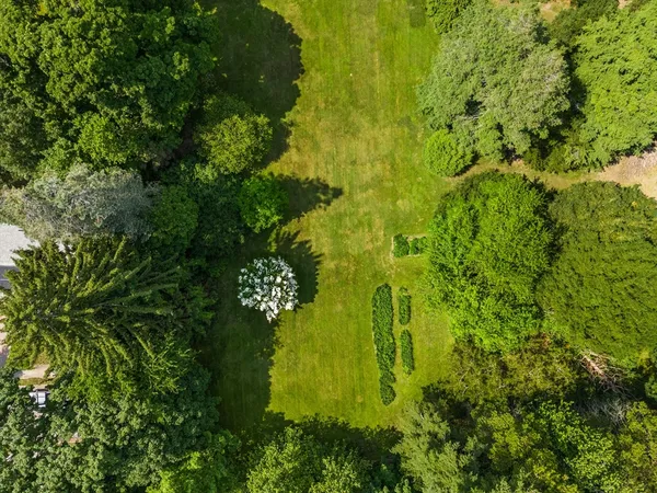 a view of a garden