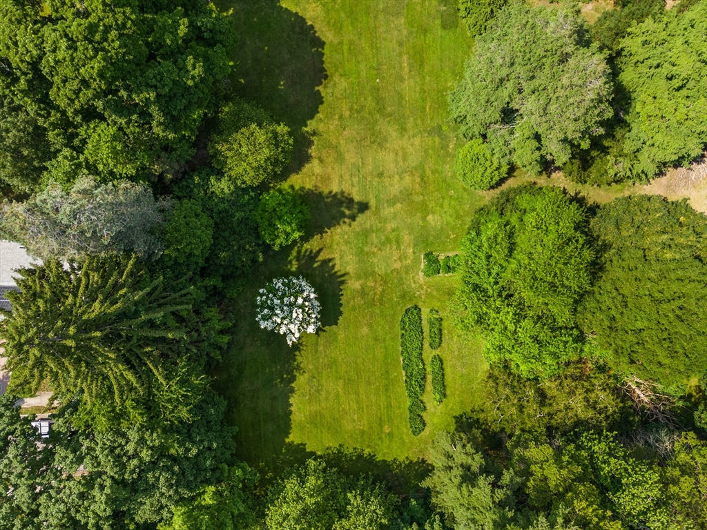 60 Chapin Road Newton, MA 02459 - Photo 9 of 9 a view of a garden