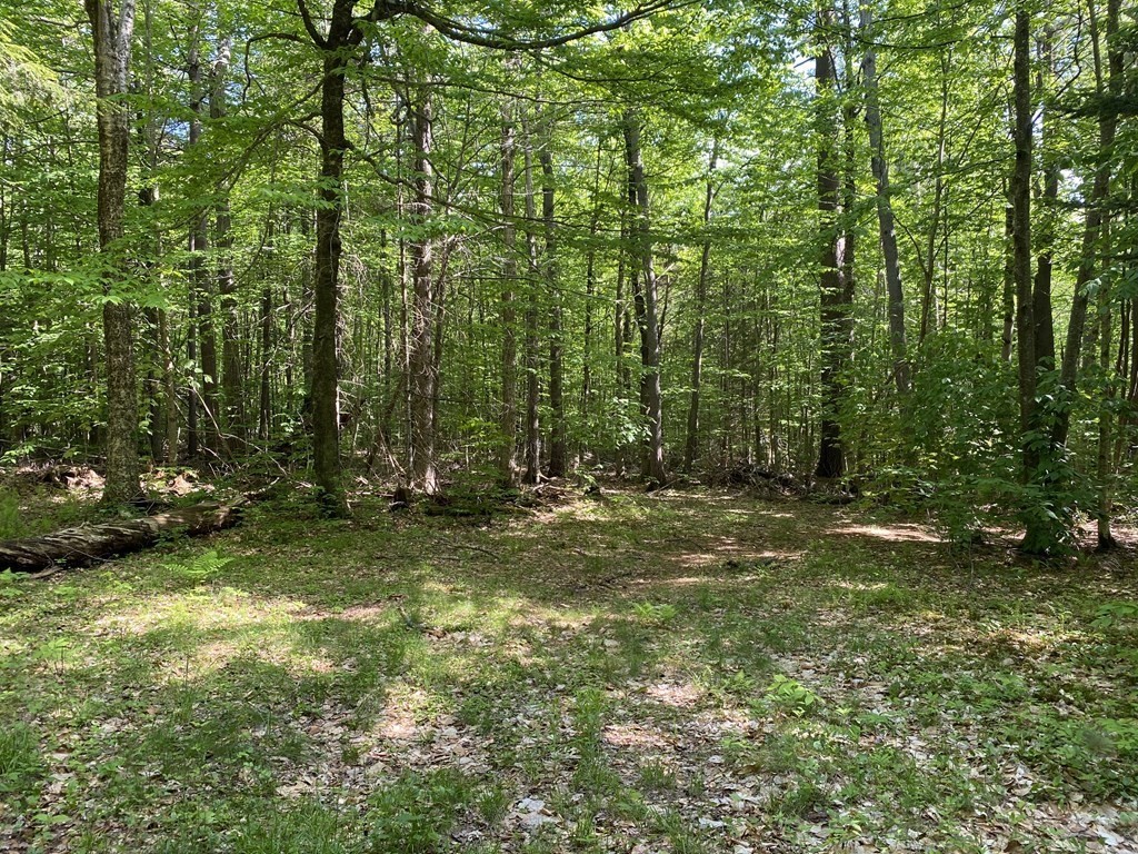 0 South Road Hawley, MA 01339 - Photo 12 of 13 Gallery Image 12