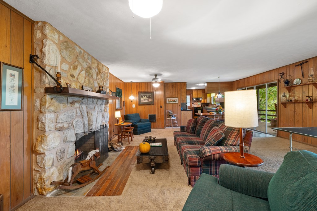 283 River Bend Lane Blue Ridge, GA 30513 - Photo 12 of 29 a living room with furniture and a fireplace