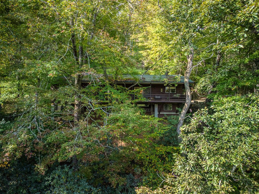 283 River Bend Lane Blue Ridge, GA 30513 - Photo 2 of 29 a view of house with a yard