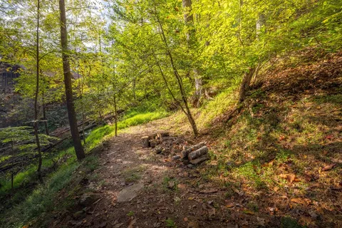 $375,000 | 283 River Bend Lane, Blue Ridge, GA 30513