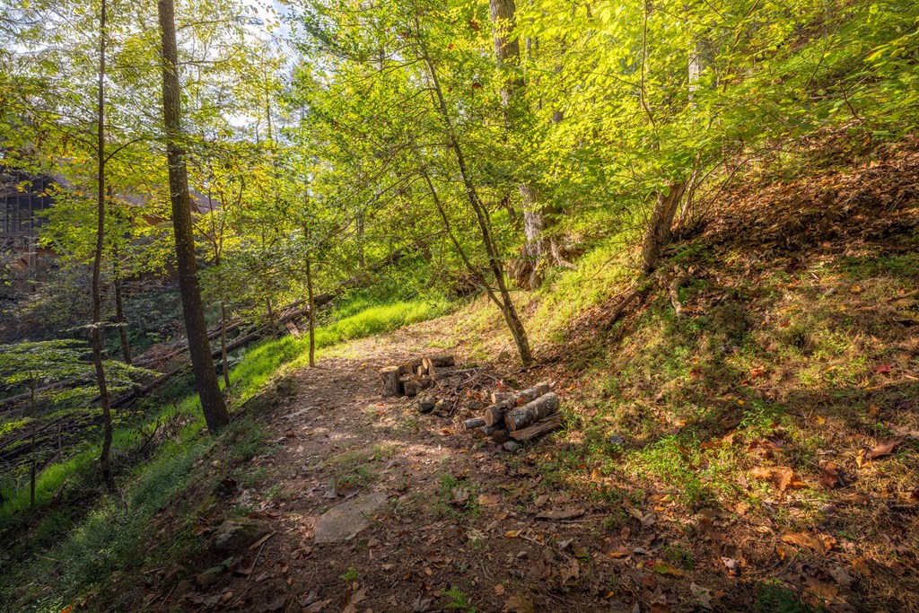 283 River Bend Lane Blue Ridge, GA 30513 - Photo 29 of 29 a view of forest