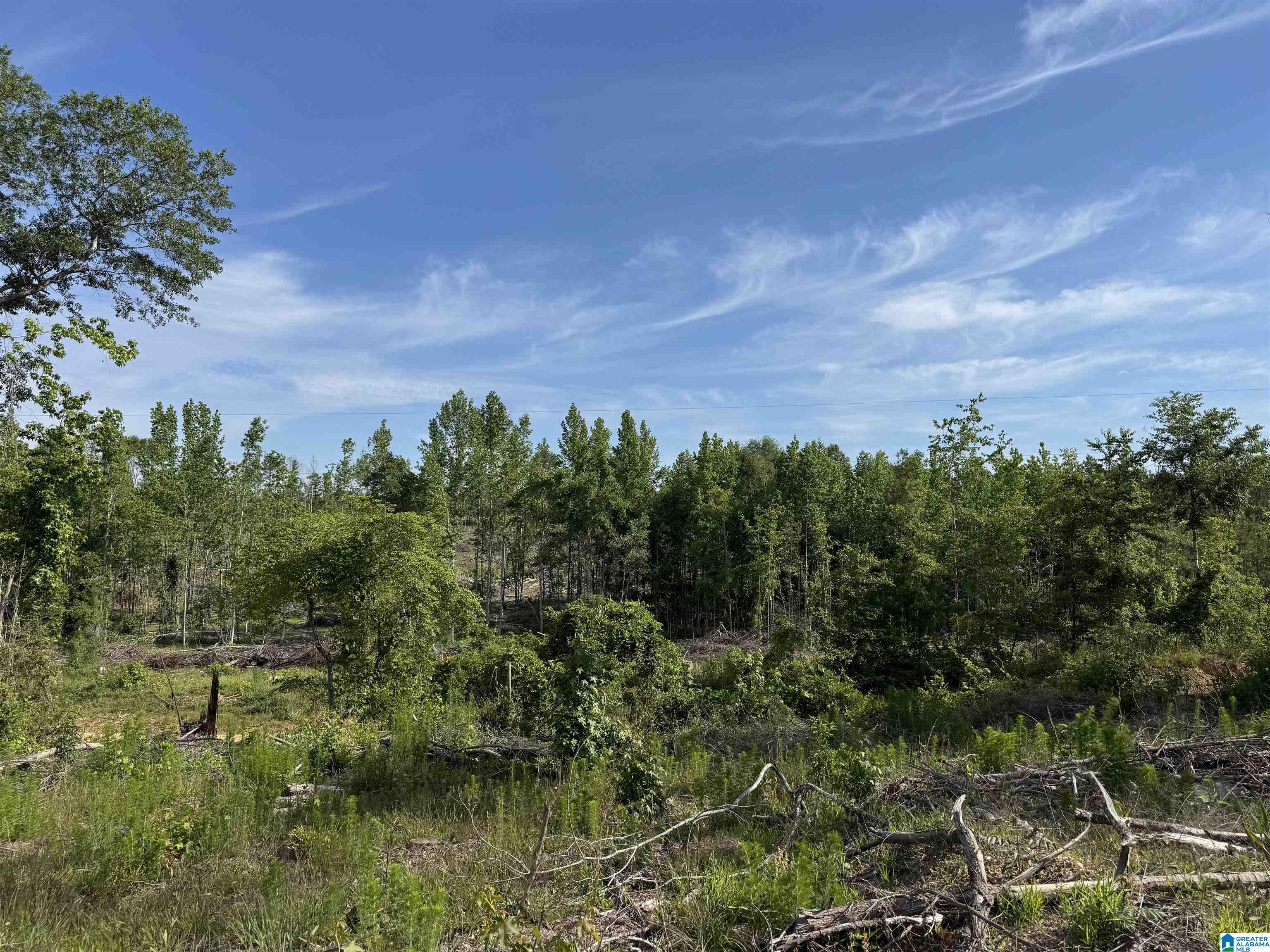 Active Road, Unit 5 Lawley, AL 36793 - Photo 7 of 38