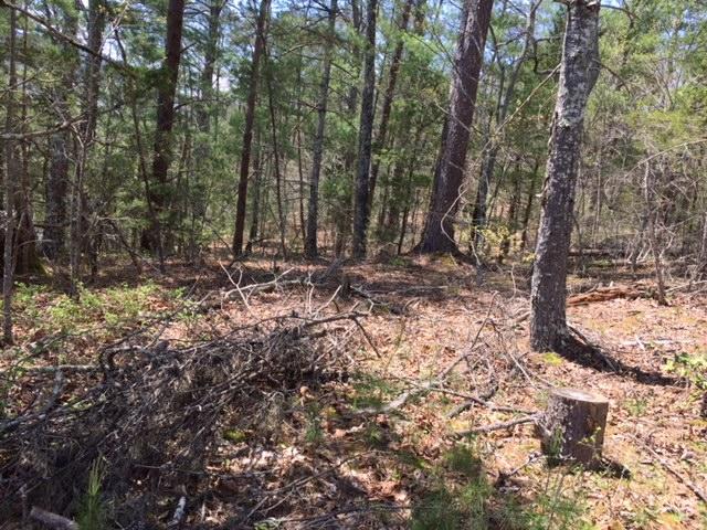 Laurel Valley Road Townsend, TN 37882 - Photo 2 of 3 IMG_0568