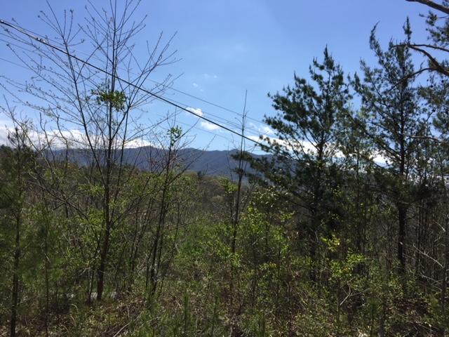 Laurel Valley Road Townsend, TN 37882 - Photo 3 of 3 IMG_0569
