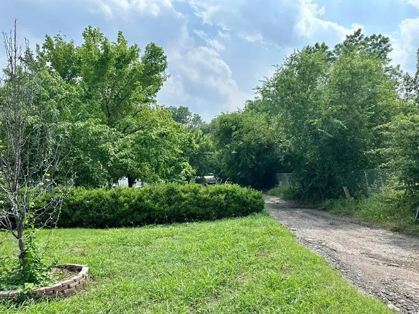 a view of a yard with a tree
