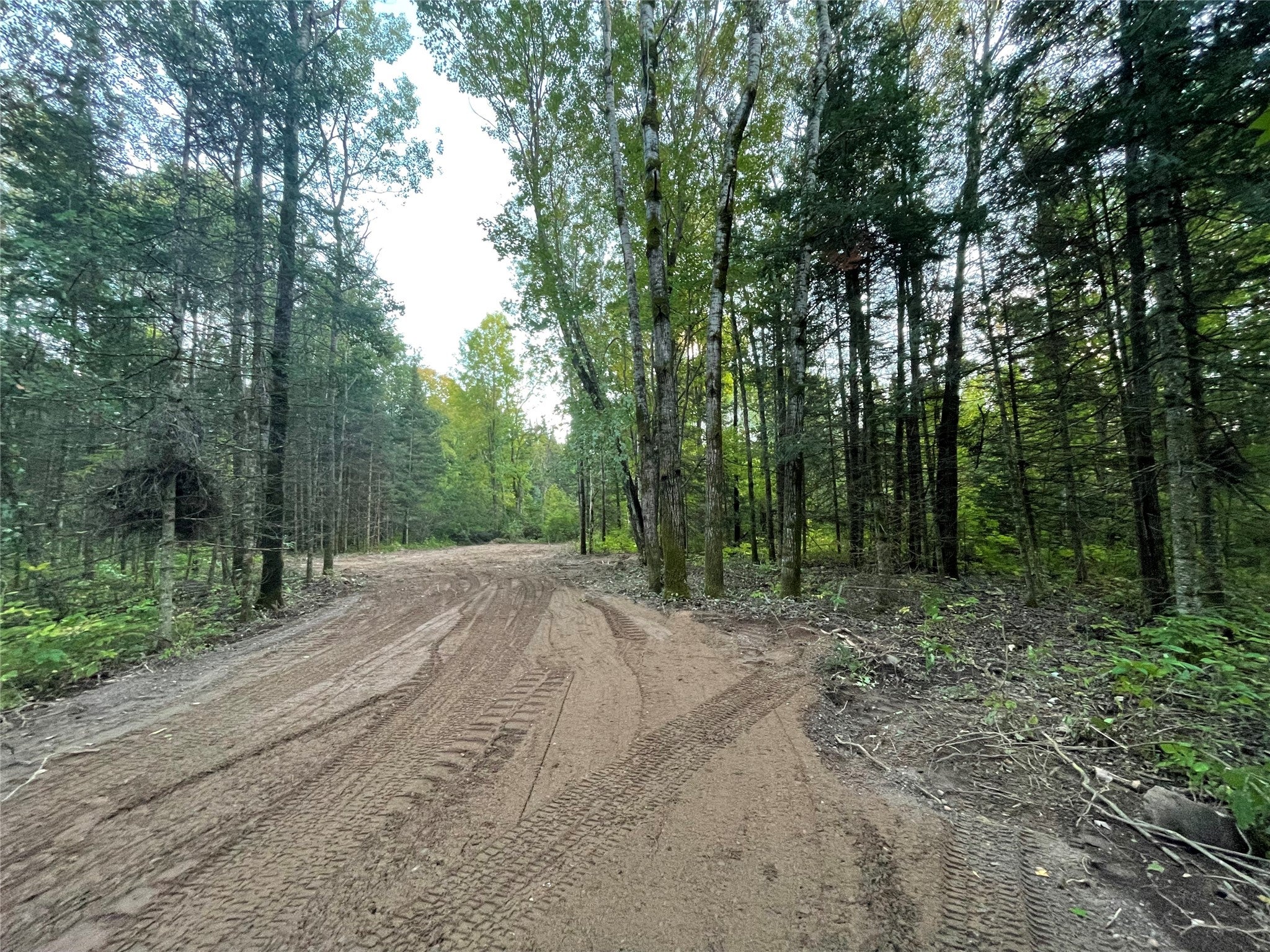 Lot 3 Fadness Road Winter, WI 54896 - Photo 4 of 19 Gallery Image 4
