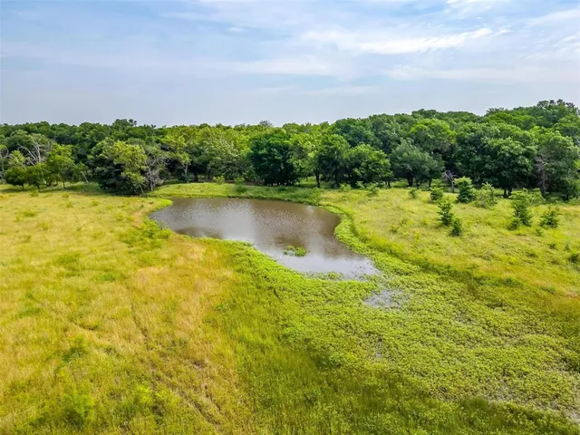 a view of an ocean from a yard