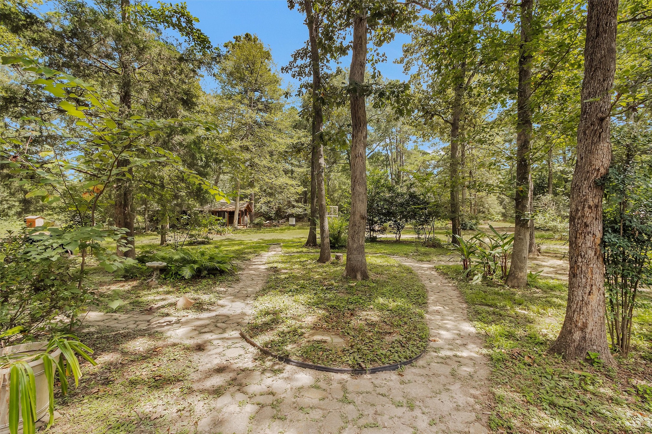 10331 Iron Ore Road Conroe, TX 77303 - Photo 33 of 47 Charming wooded setting with a winding stone path, surrounded by lush greenery and mature trees.