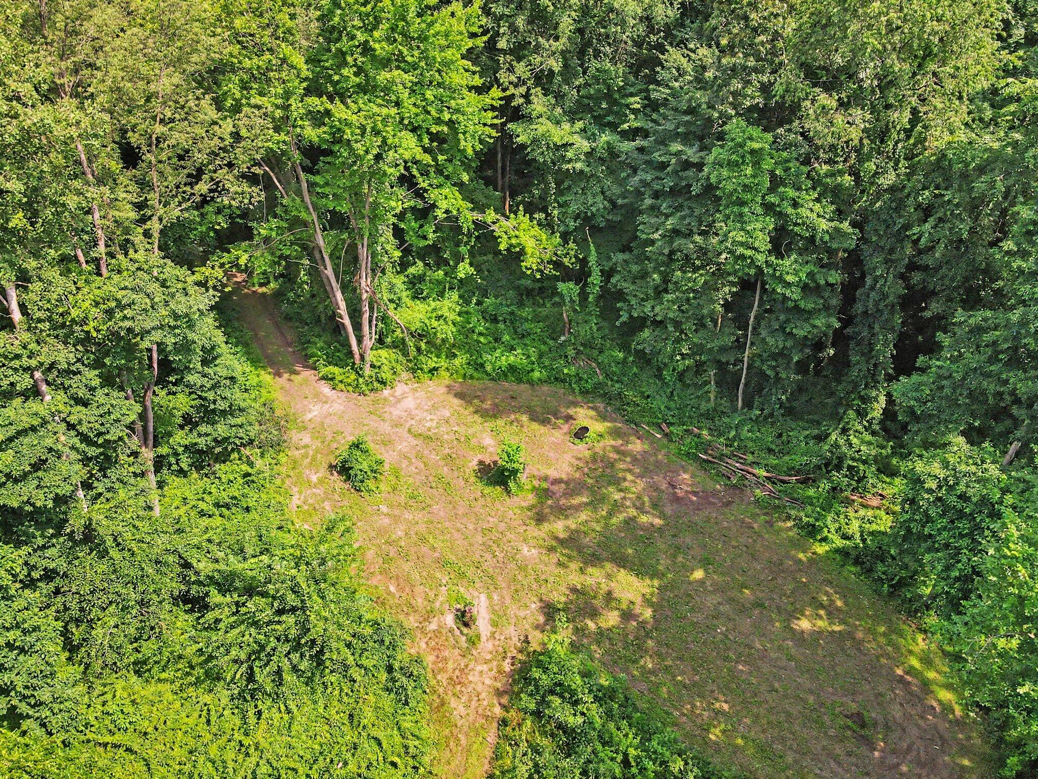 15068 Millard Road Three Rivers, MI 49093 - Photo 30 of 43 030_file_2398