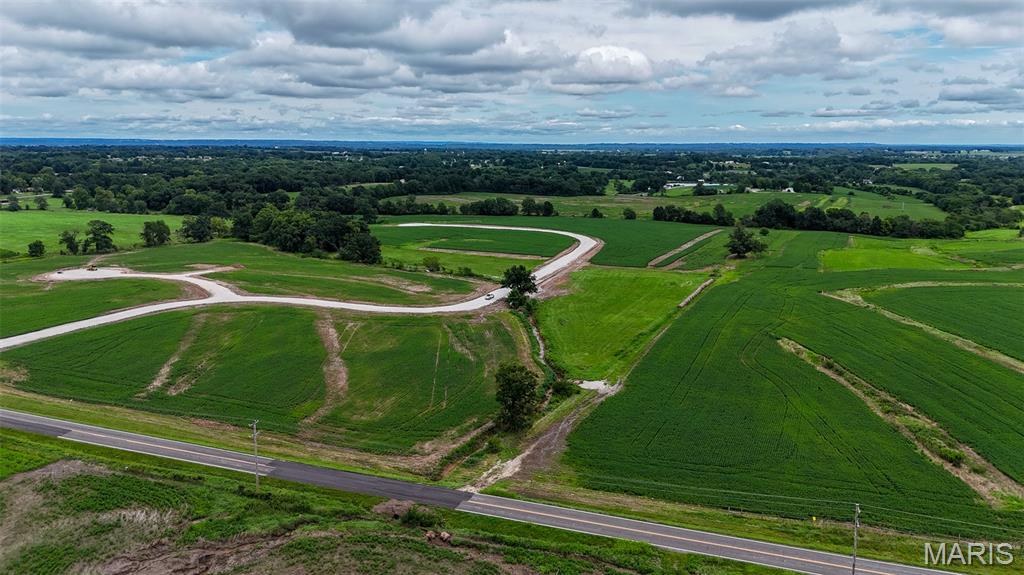 239 Autumn Hallow Court Old Monroe, MO 63369 - Photo 12 of 17