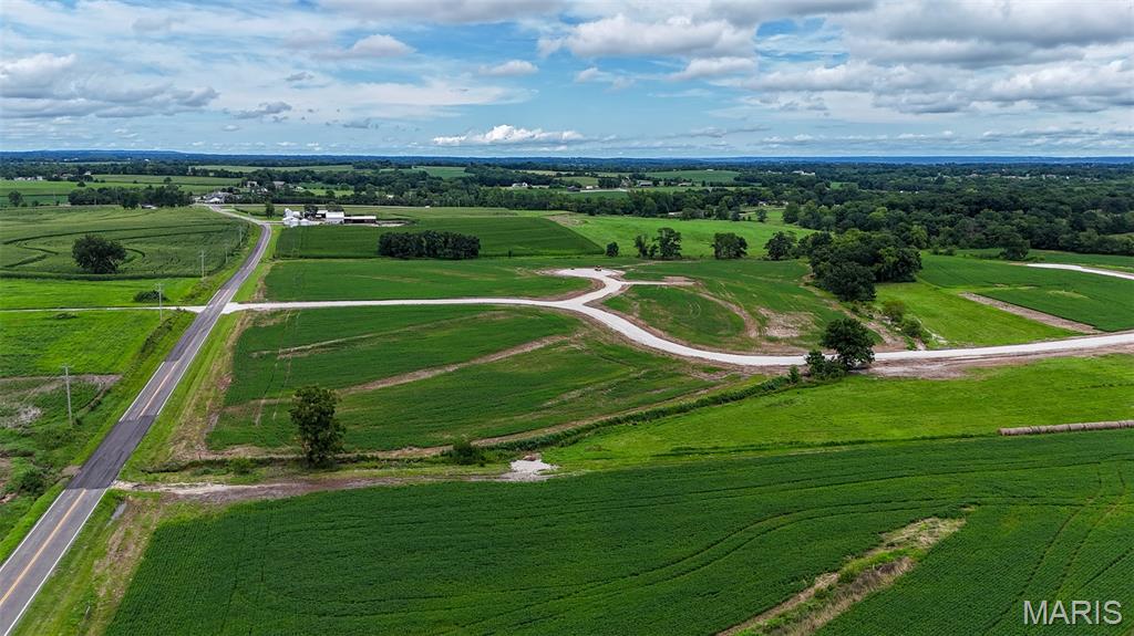 239 Autumn Hallow Court Old Monroe, MO 63369 - Photo 13 of 17