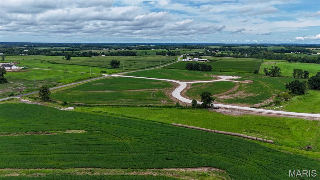 239 Autumn Hallow Court Old Monroe, MO 63369 - Photo 14 of 17