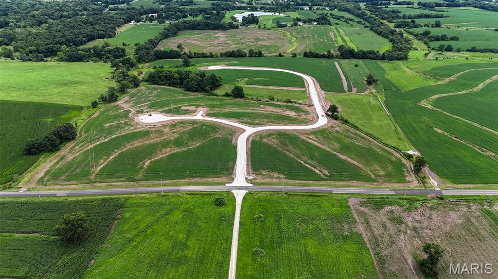 239 Autumn Hallow Court Old Monroe, MO 63369 - Photo 9 of 17