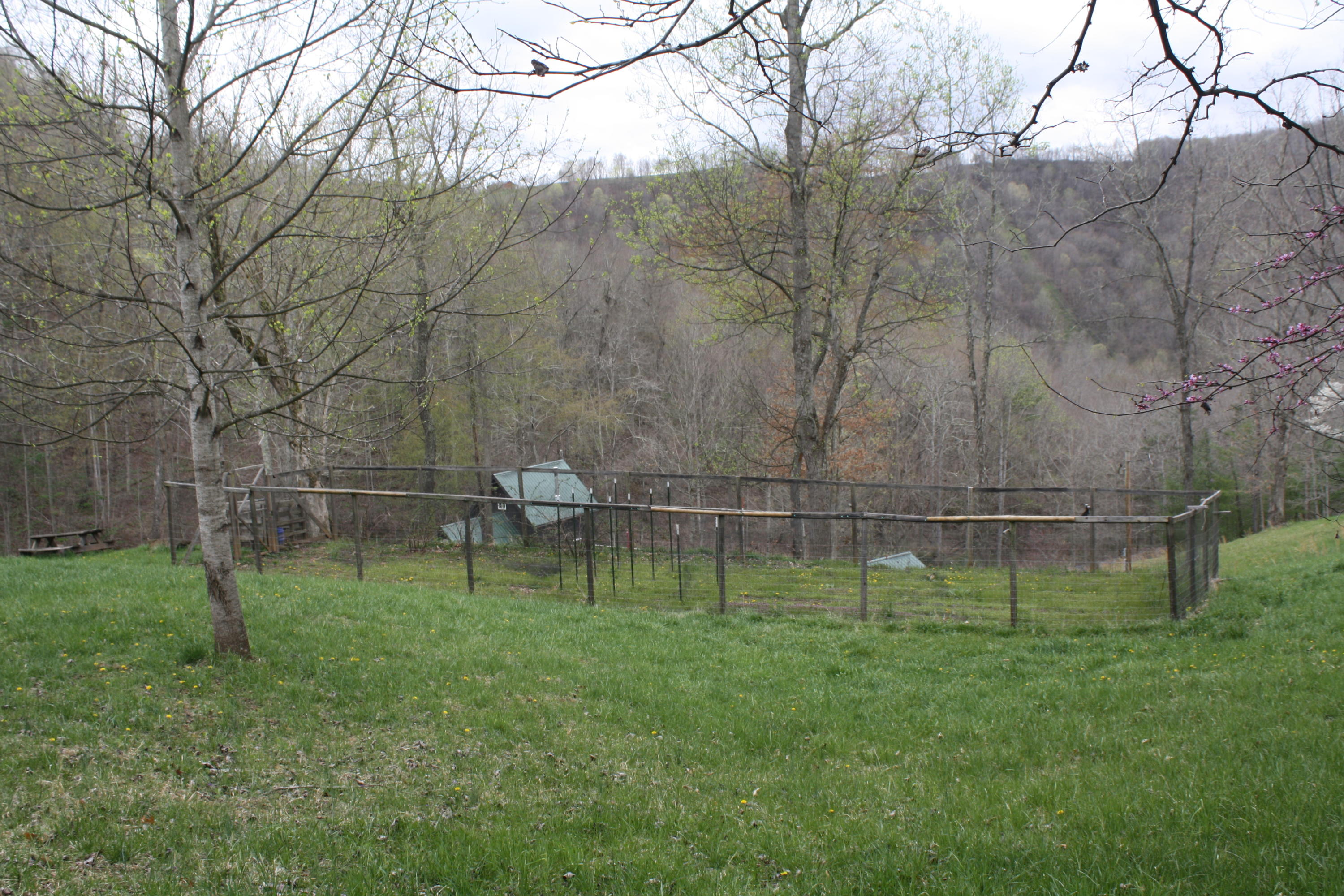 2355 Nickells Mill Road Ronceverte, WV 24970 - Photo 56 of 91 Gallery Image 56