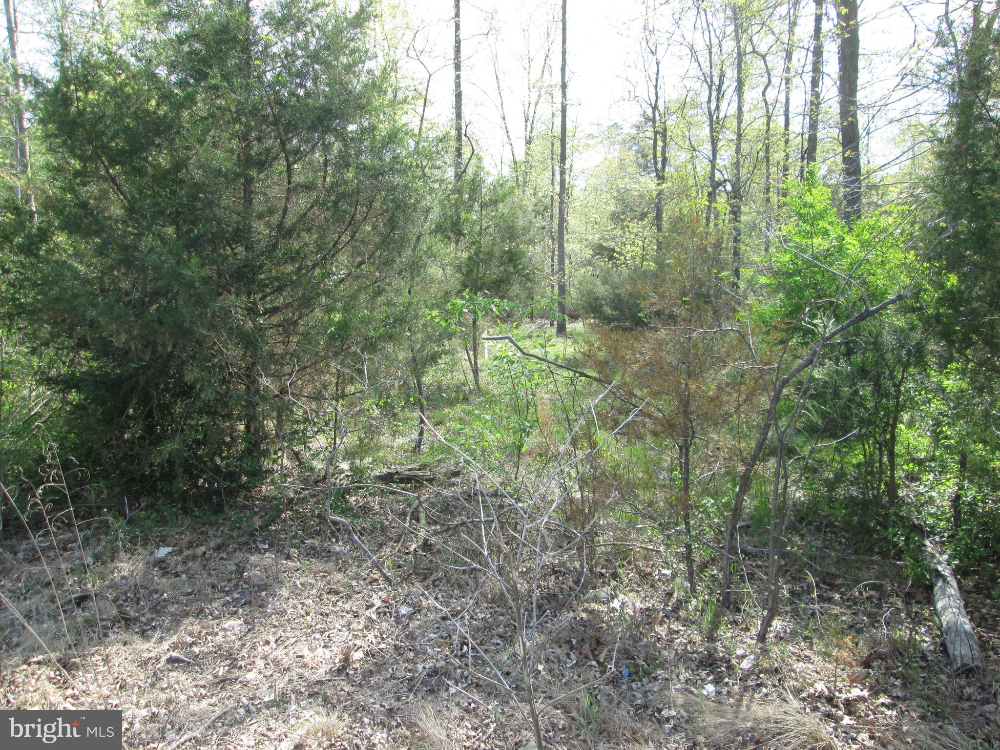 0 Reliance Road Federalsburg, MD 21632 - Photo 4 of 6