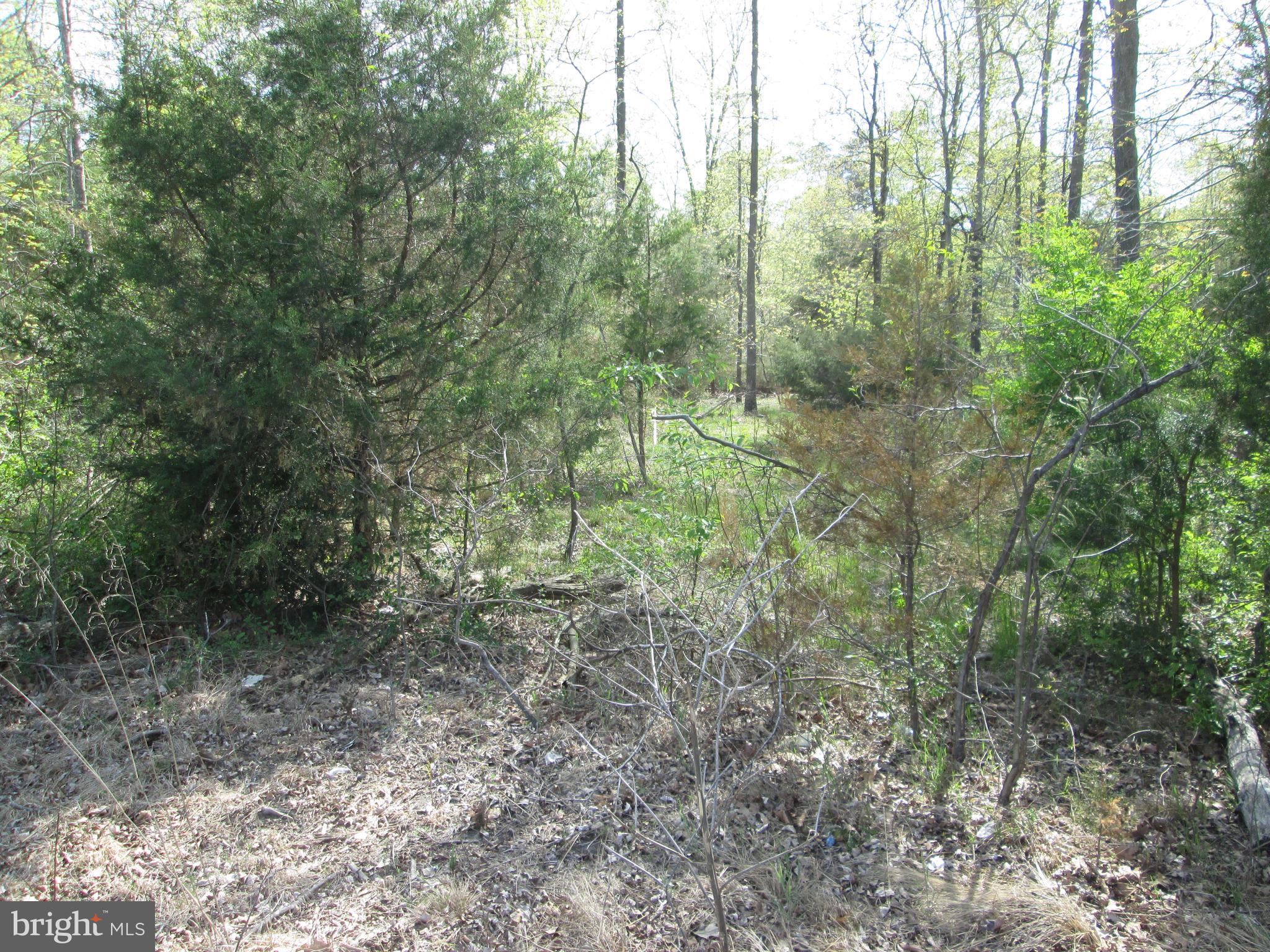 0 Reliance Road Federalsburg, MD 21632 - Photo 5 of 6
