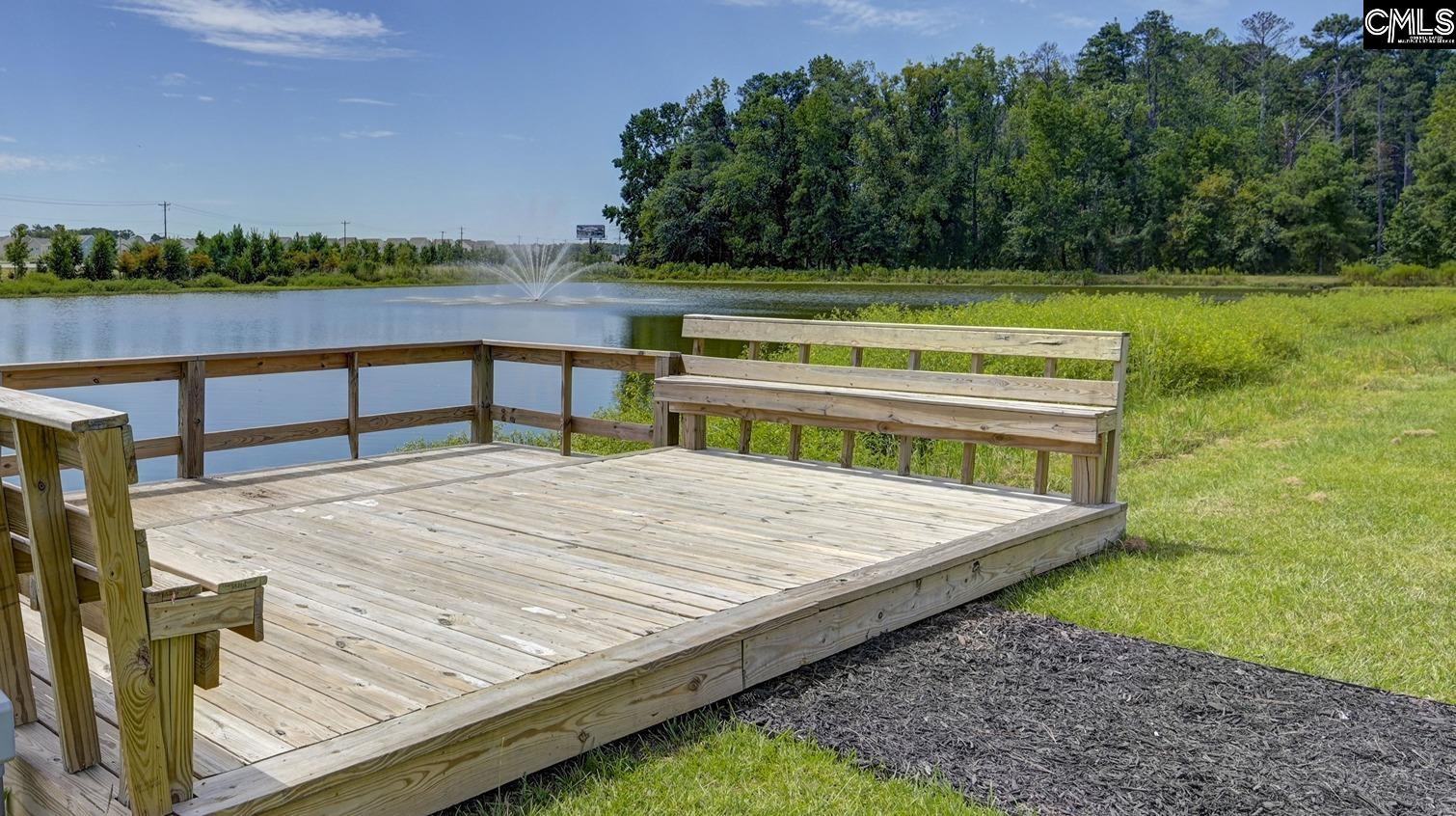 209 Ruby Prince Road Gilbert, SC 29054 - Photo 37 of 38