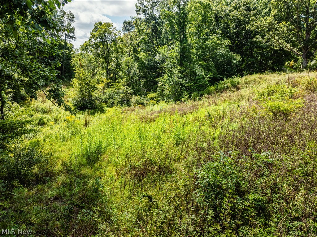 Taylor Road Dennison, OH 44621 - Photo 25 of 48 Gallery Image 25