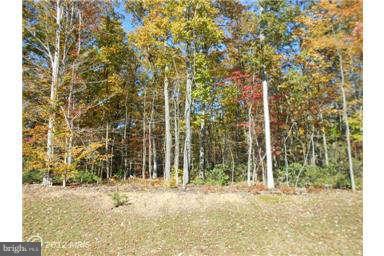 3025 Raking Leaf Drive Abingdon, MD 21009 - Photo 26 of 26 a view of a backyard of the house