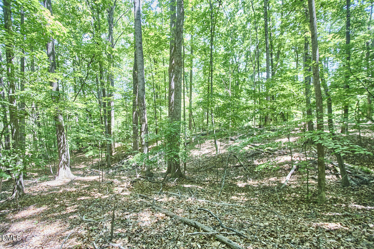 4204 Kerley Road Durham, NC 27705 - Photo 24 of 34 a view of outdoor space and garden