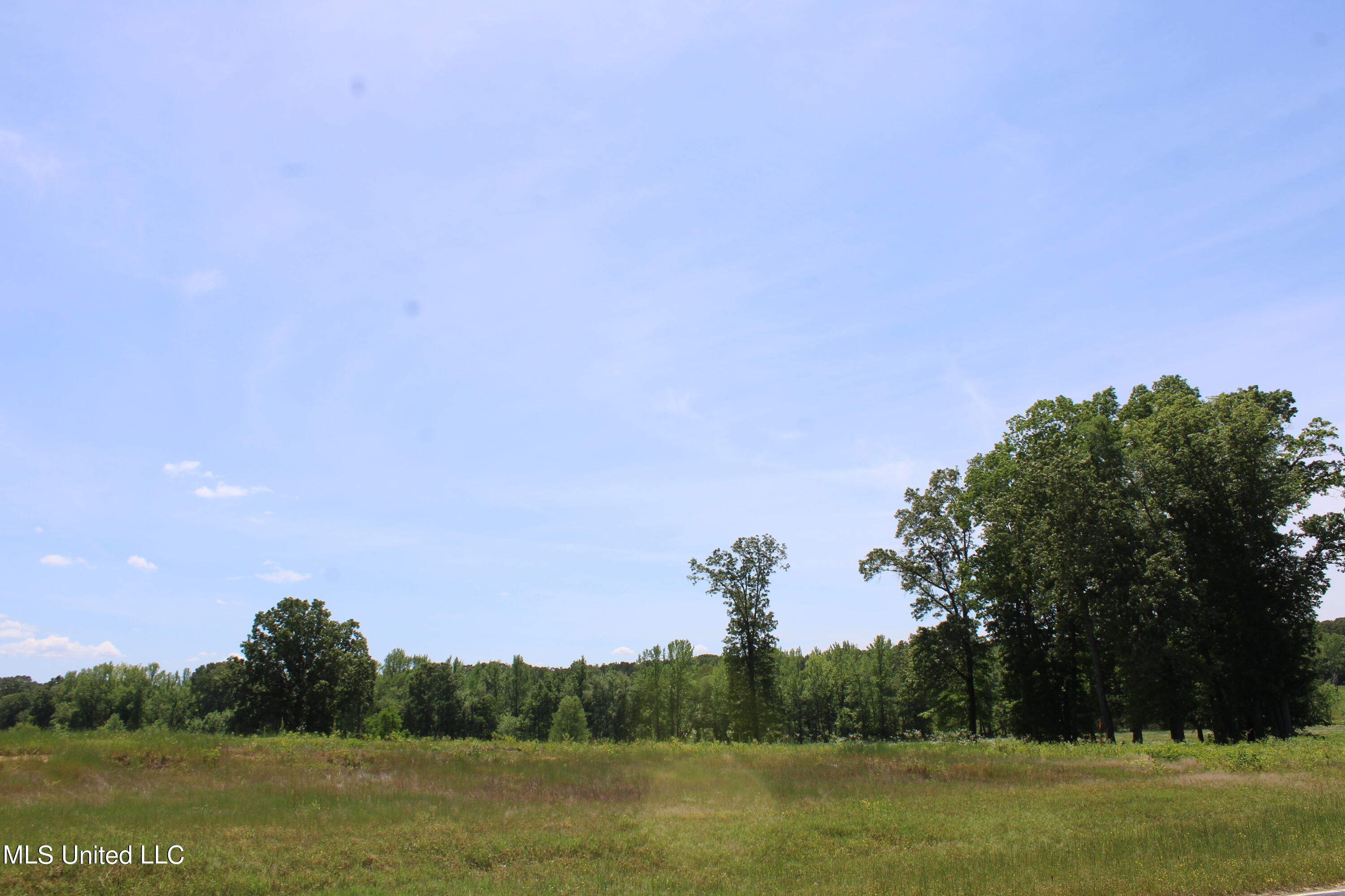 14995 Fairview Road Byhalia, MS 38611 - Photo 3 of 31 IMG_3800