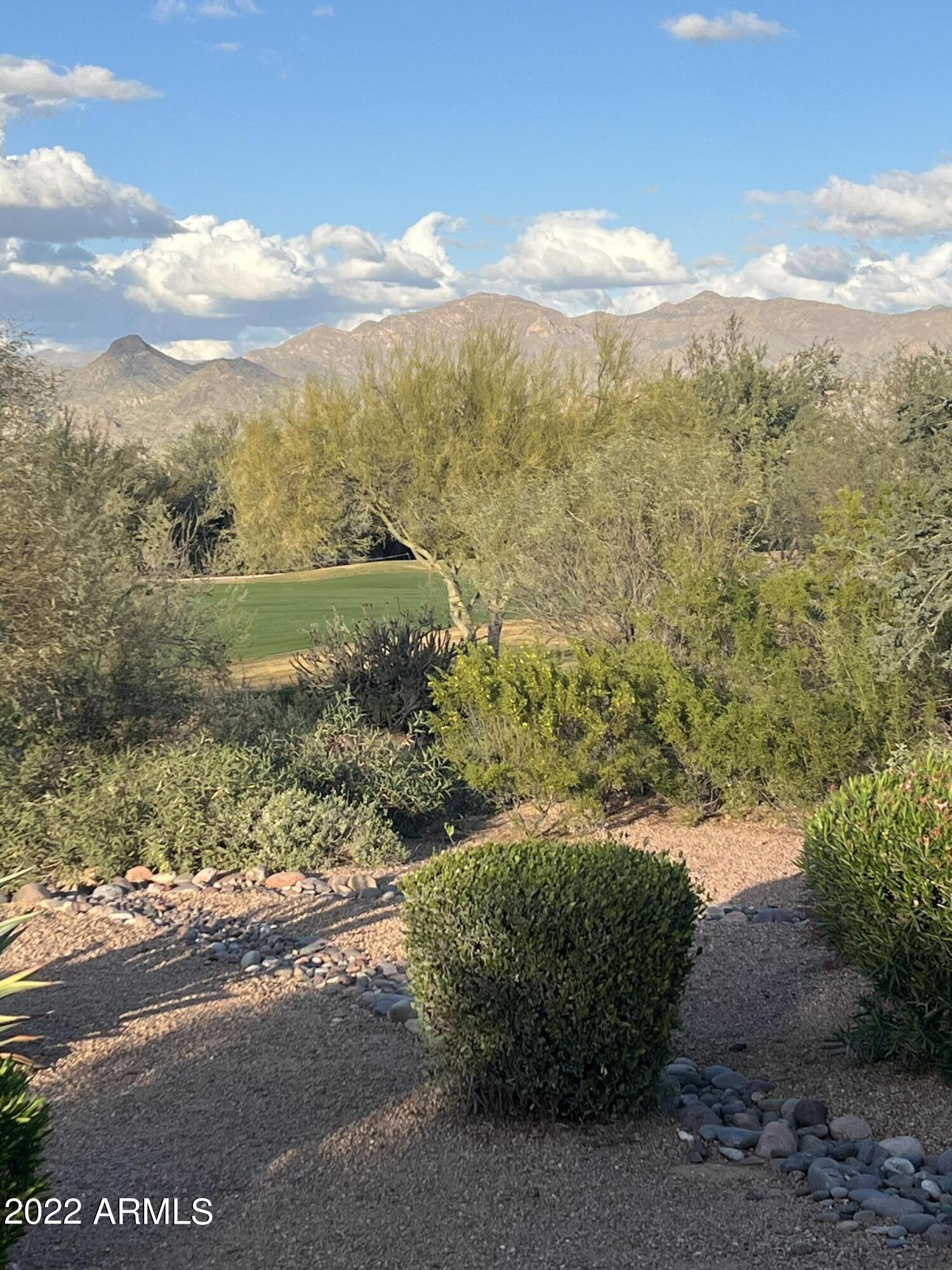 18400 Cobre Way Rio Verde, AZ 85263 - Photo 30 of 38 East mountain view from back patio