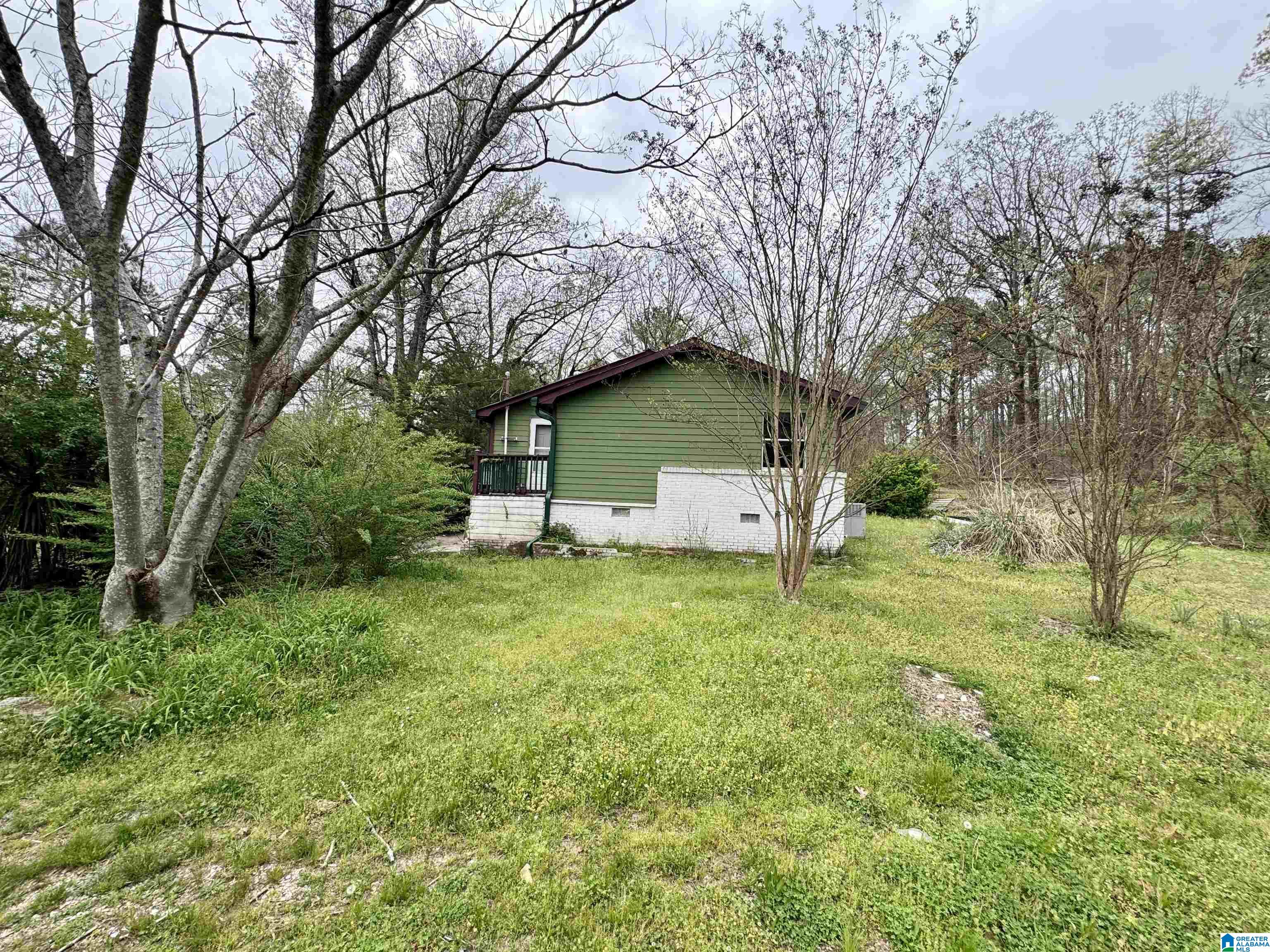 6420 Snowville Brent Road Dora, AL 35062 - Photo 14 of 22