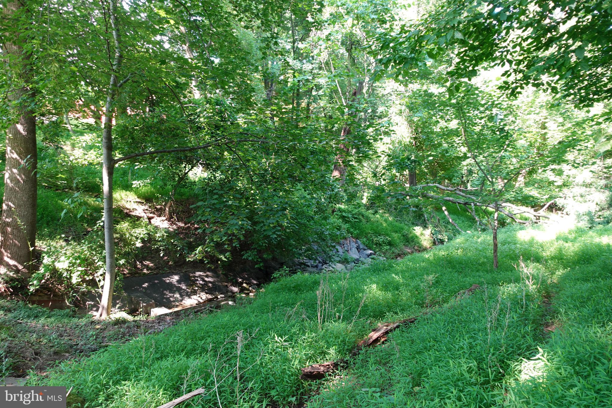 Deborah Drive Potomac, MD 20854 - Photo 11 of 13