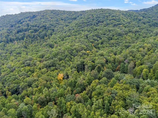 a view of a valley with a mountain in the background