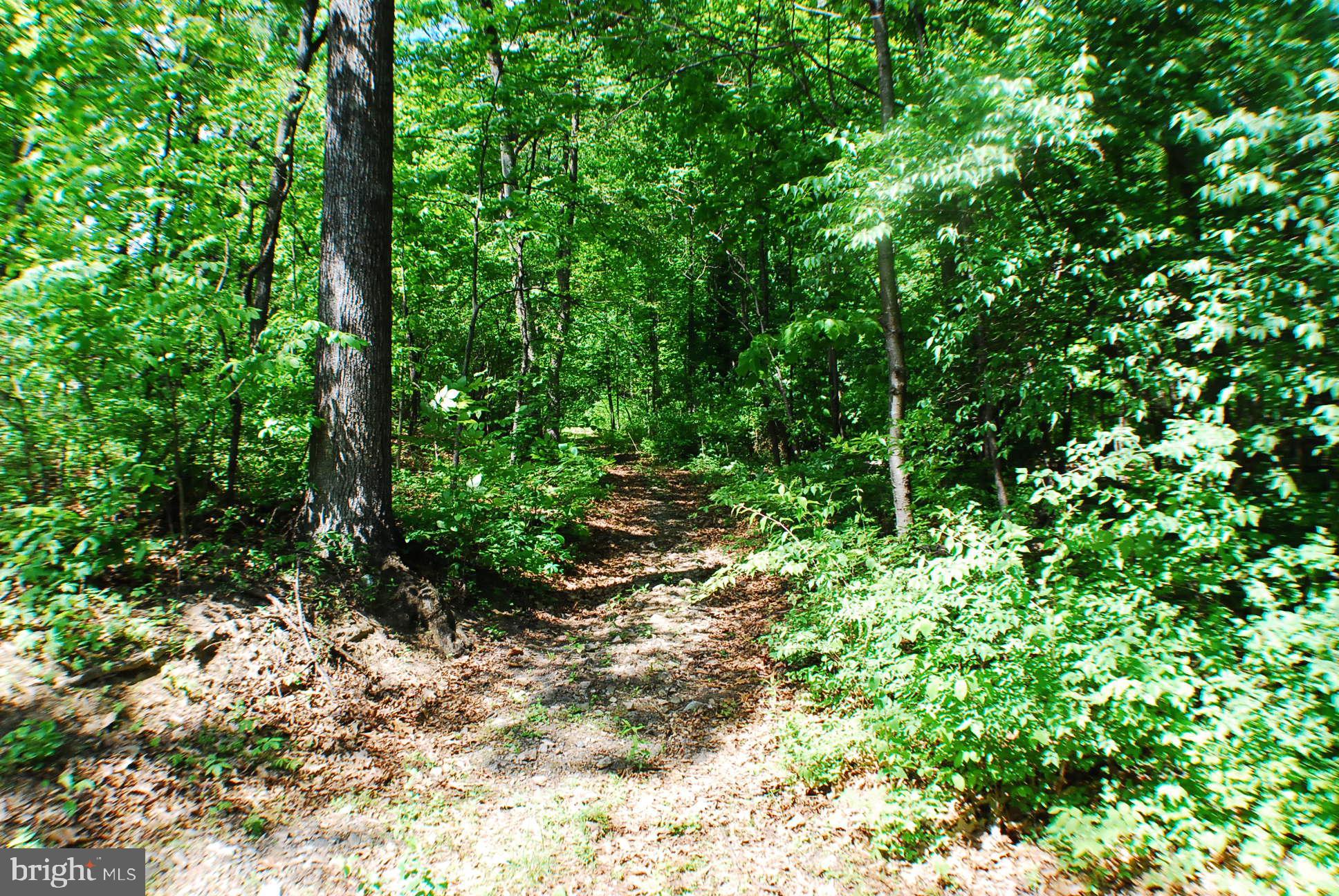 Lot 153 Babbs Mountain Road Winchester, VA 22603 - Photo 1 of 4