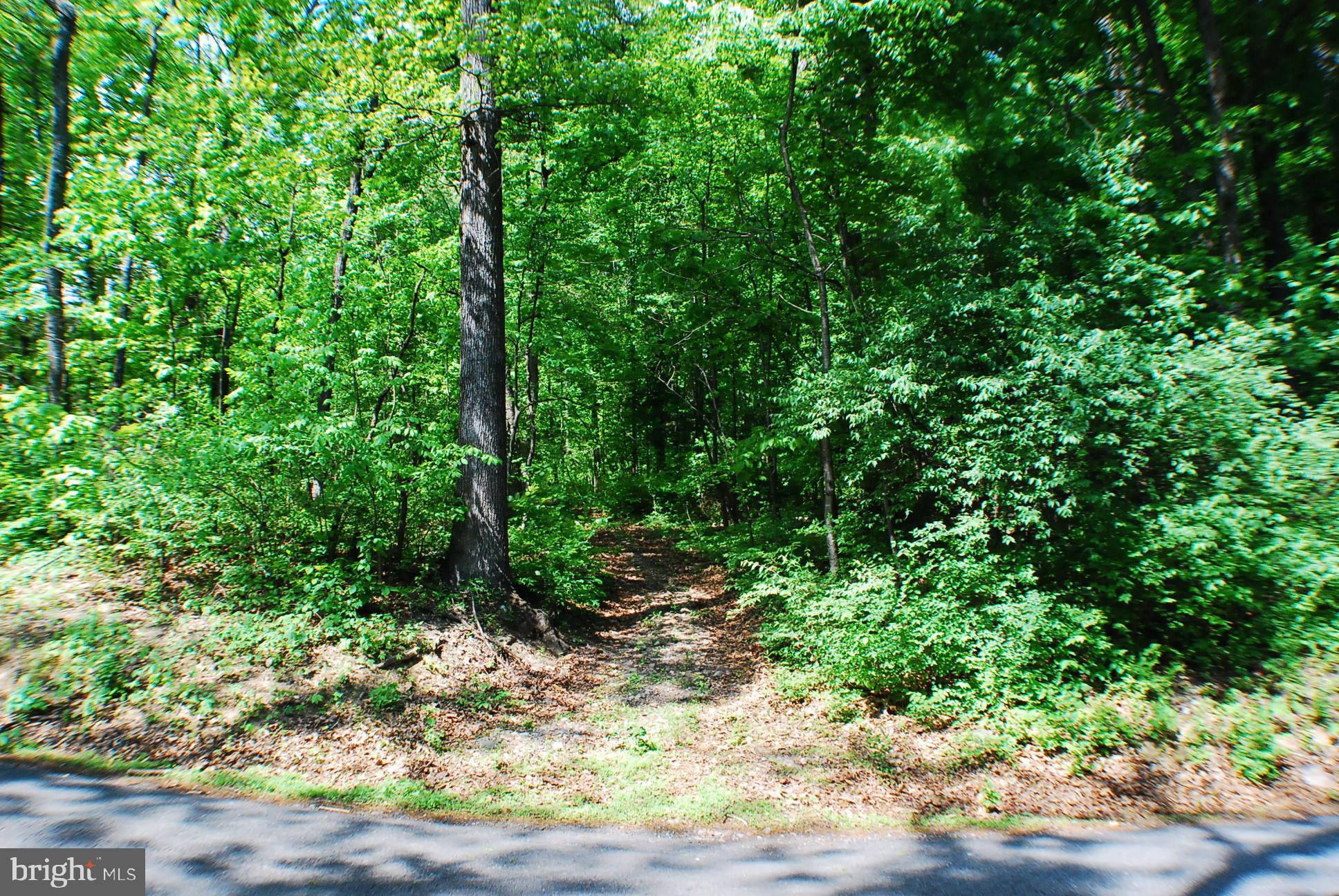 Lot 153 Babbs Mountain Road Winchester, VA 22603 - Photo 2 of 4