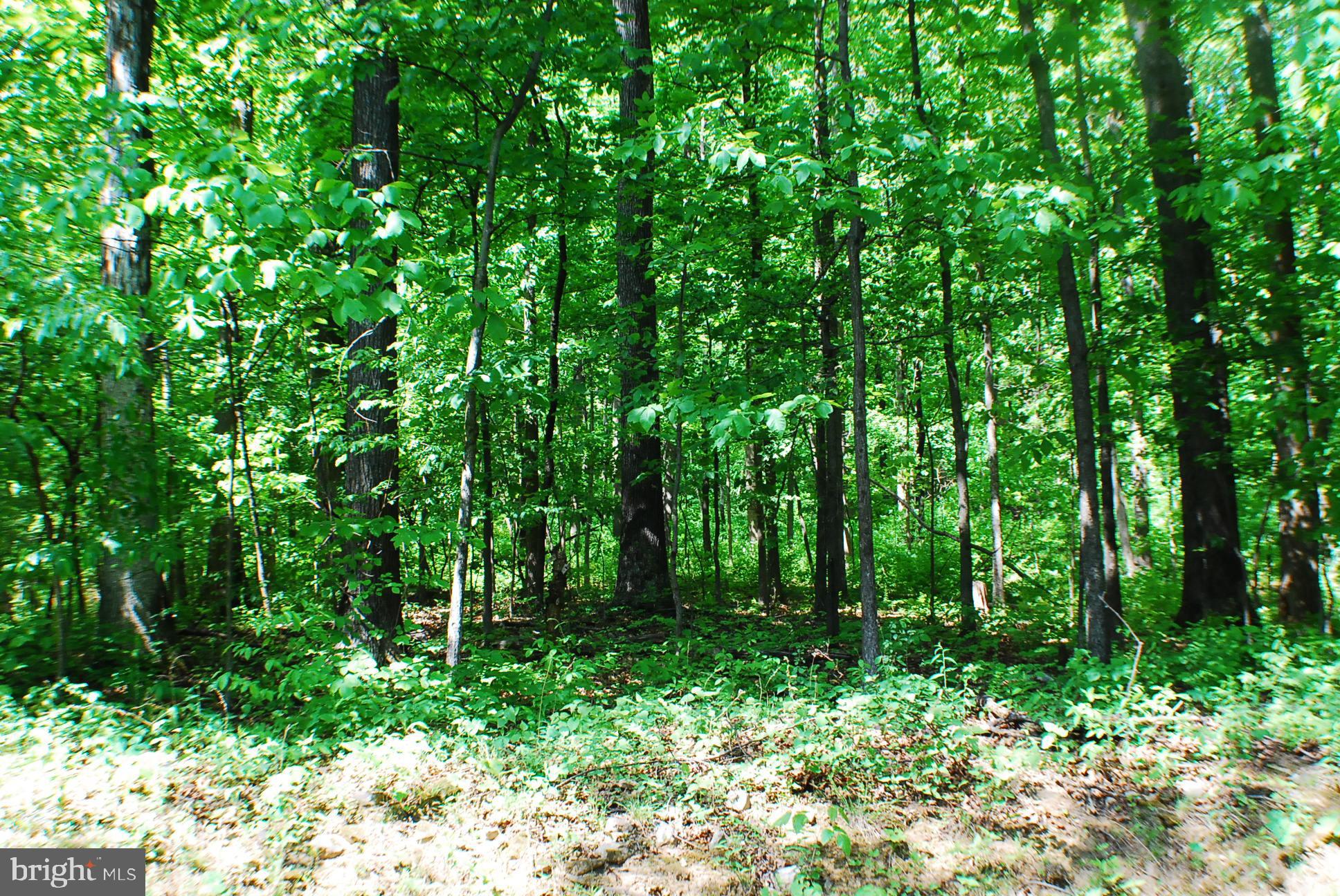 Lot 153 Babbs Mountain Road Winchester, VA 22603 - Photo 3 of 4